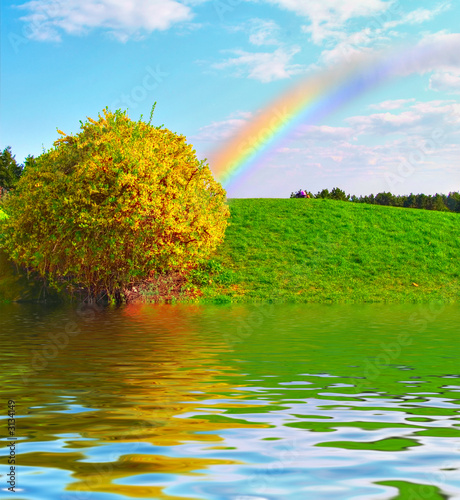 rainbow over the green meadow