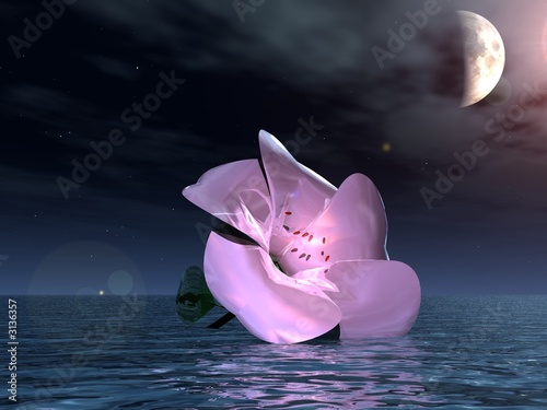 flower in water, night 3d