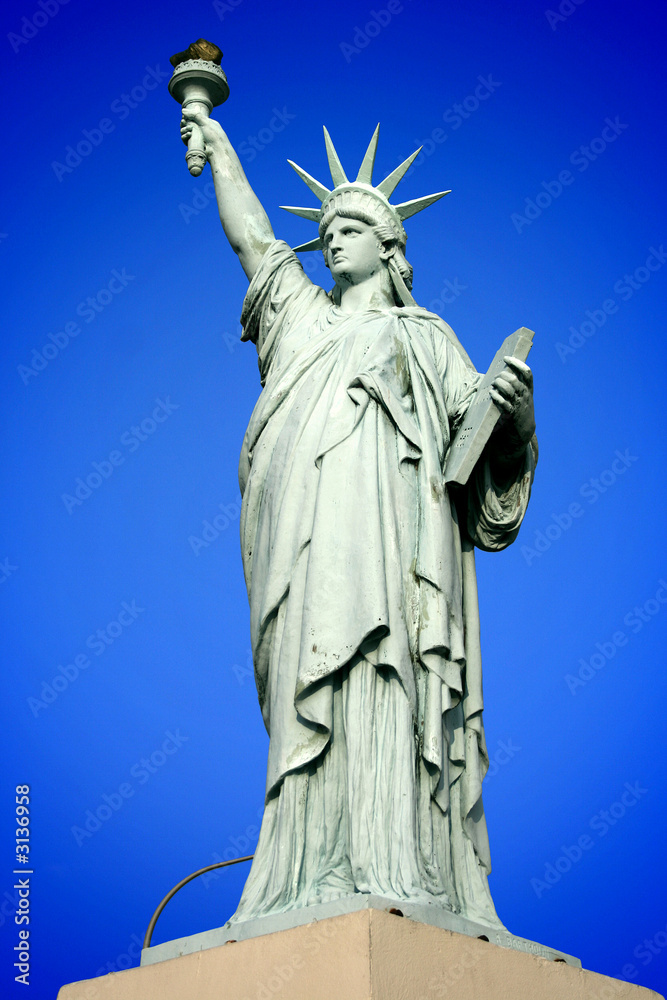 Fototapeta premium wolność