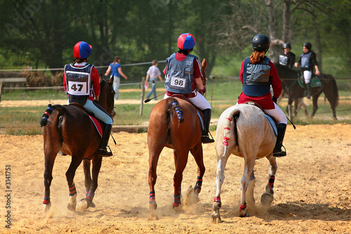 compétition equitation
