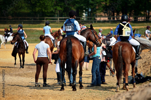 chevaux et compétition