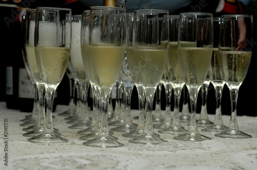 rows of champagne