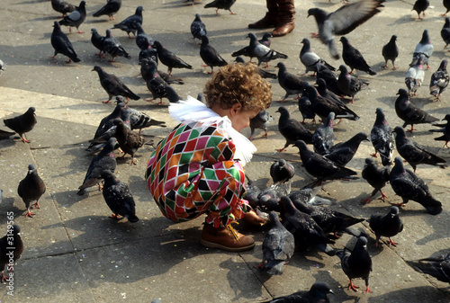 entouré de pigeons