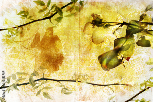 Grunge branch background page
