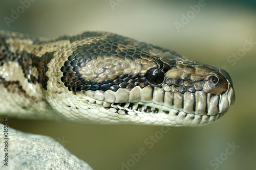 rautenpython