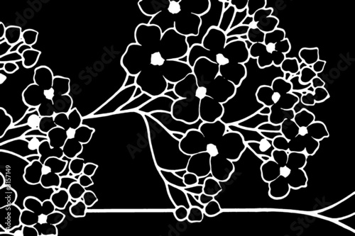 silhouette blüte