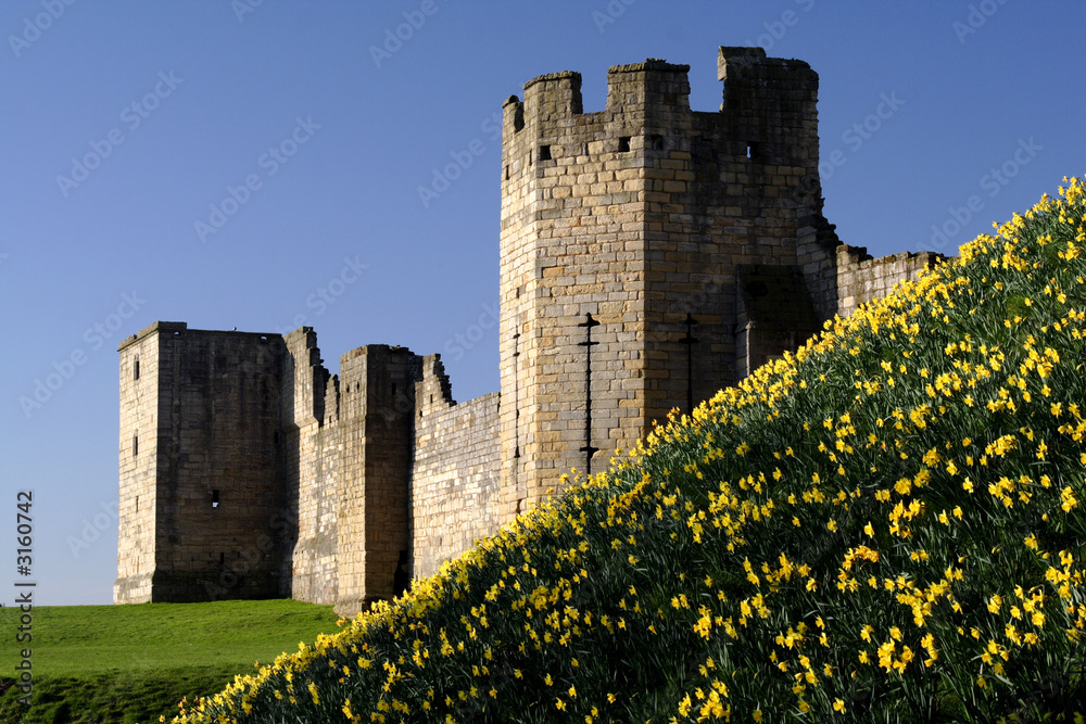 warkworth, castle,