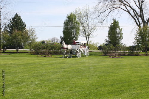 horse and carriage