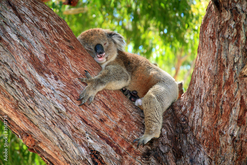Photography australien_07_ 0151