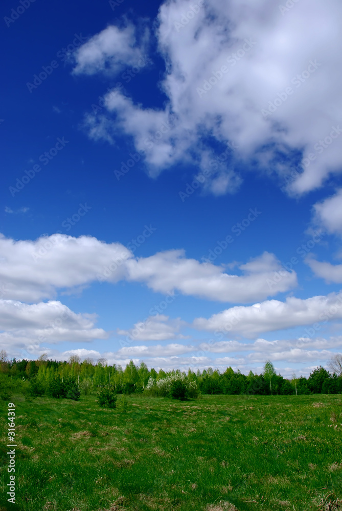 spring landscape