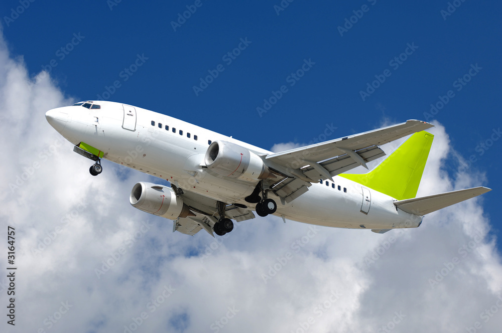 Obraz premium commercial jet plane