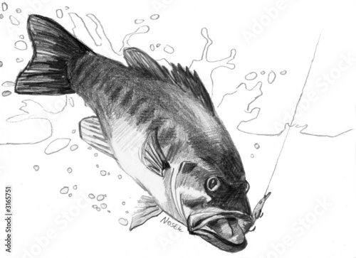 bass