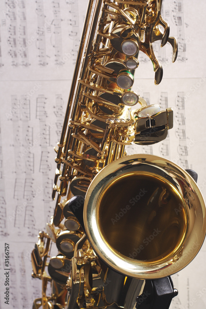 Obraz premium musician instrument