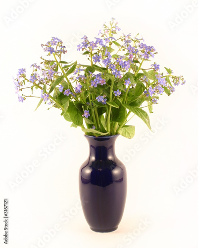 forget-me-nots in a dark blue vase