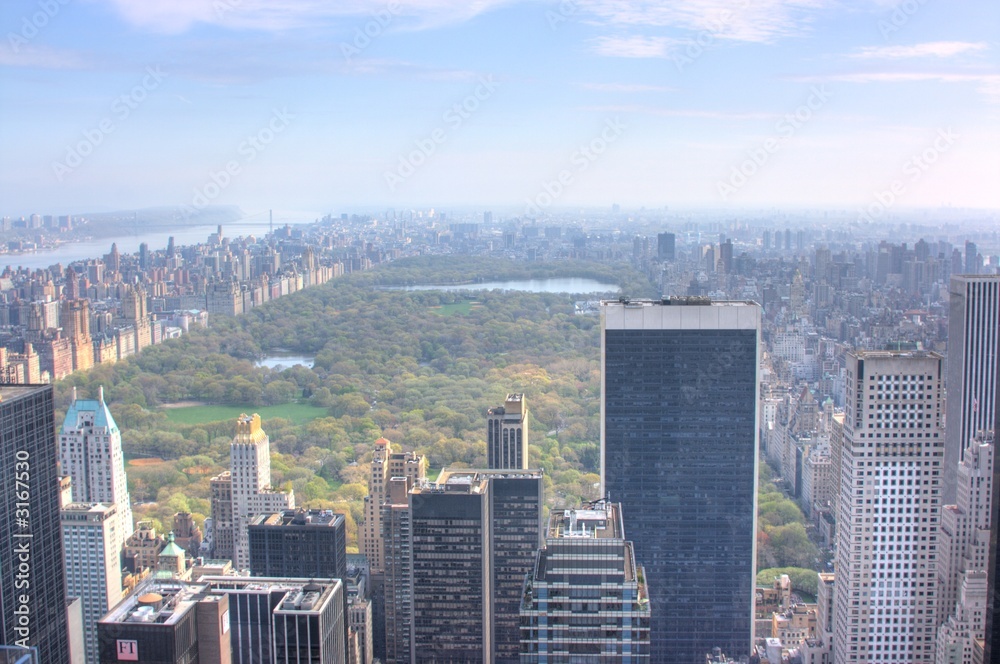 Fototapeta premium central park, new york city