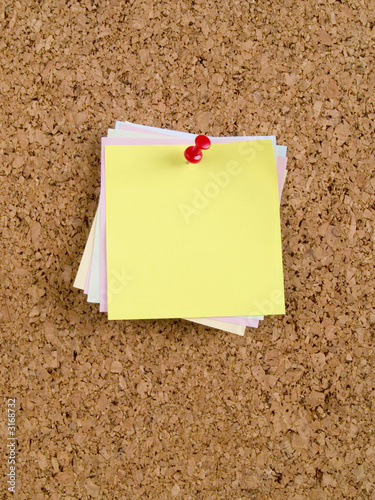 colour memo notes and pin
