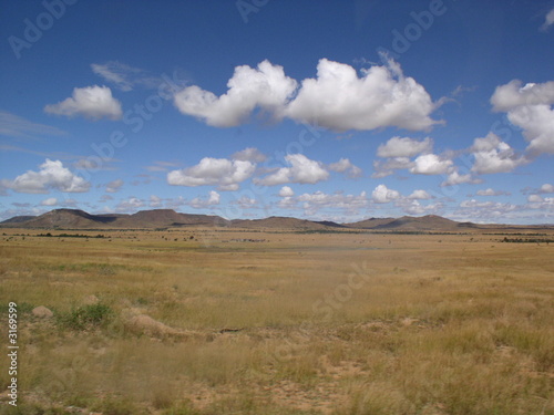 paysage malgache