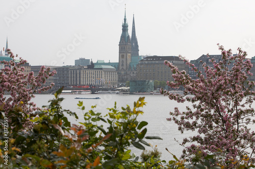 hamburgansicht mit mandelblüte