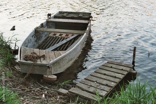 sculler 1