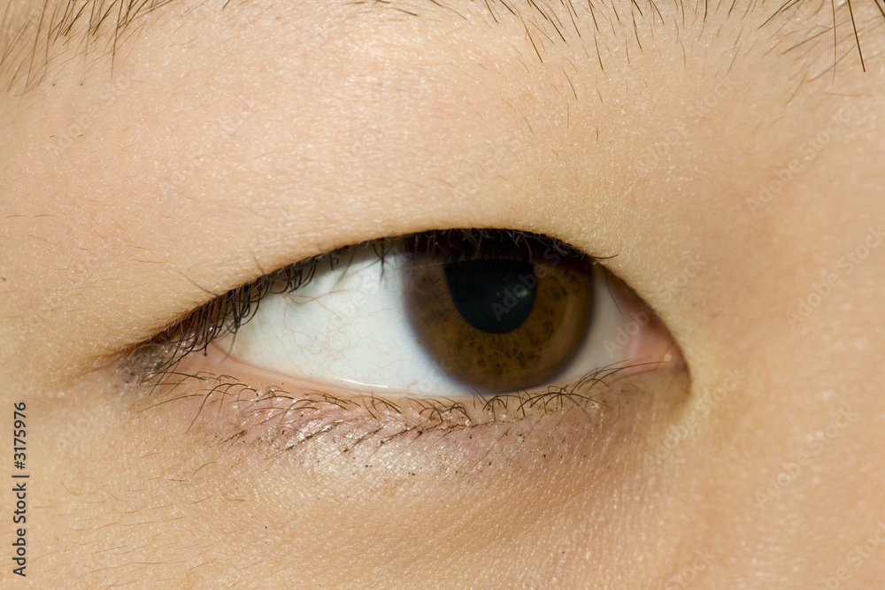 Fototapeta premium 382 asian eye