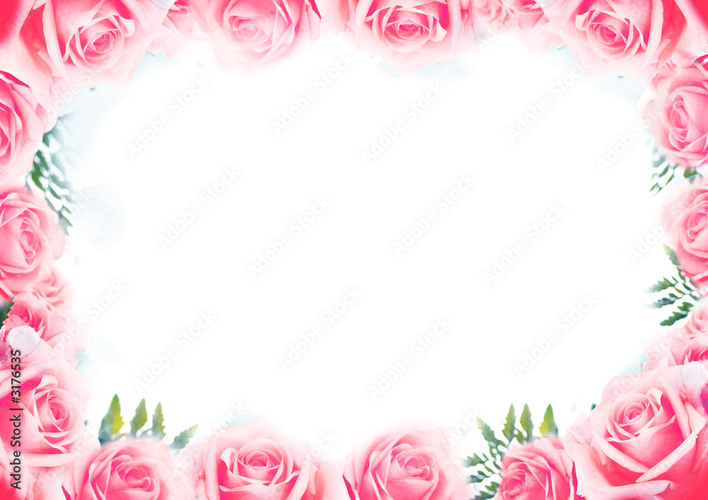 pink roses tender frame
