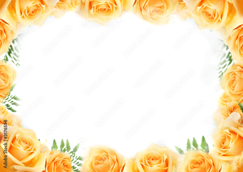 yellow roses frame yellow roses frame