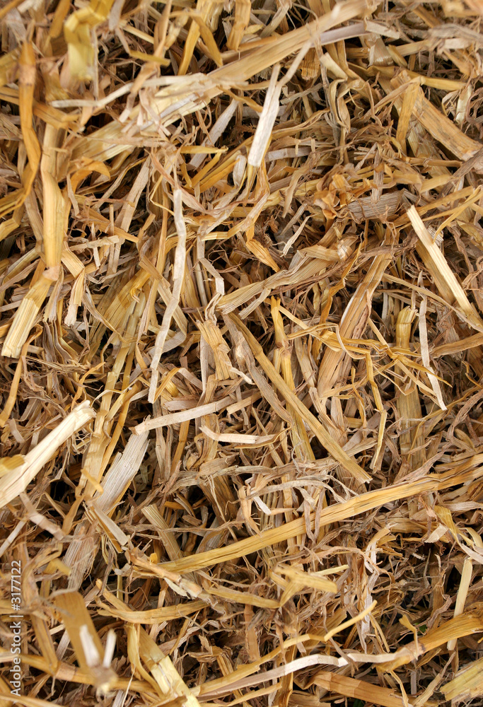 straw straw