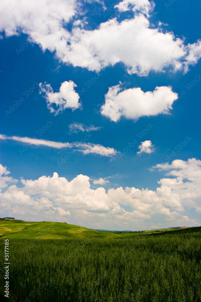 green landscape