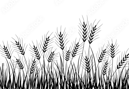 grass and ears