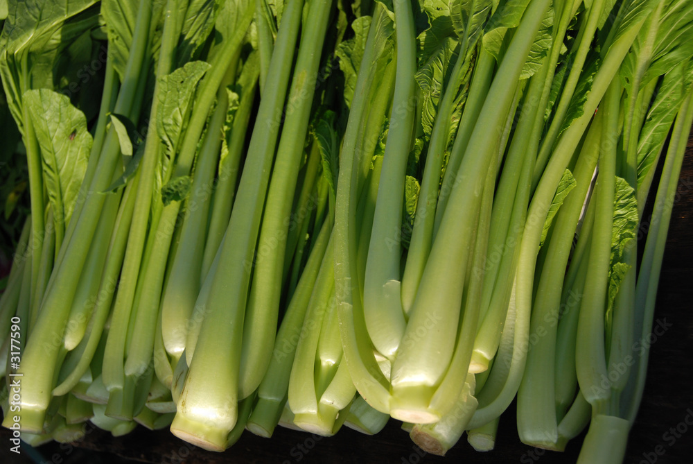 Obraz premium green vegetables
