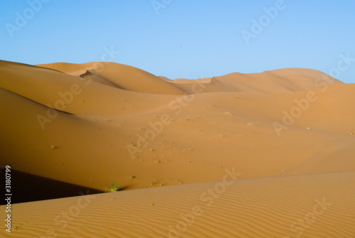 morocan desert
