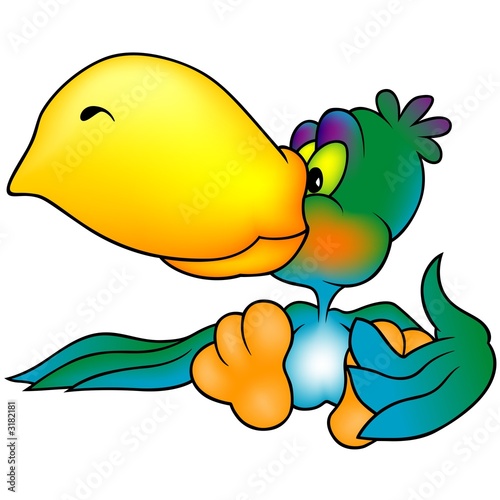 green-blue parrot