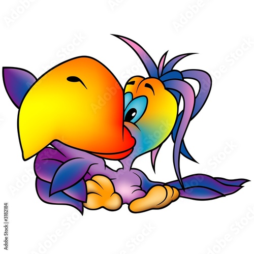 rainbow parrot