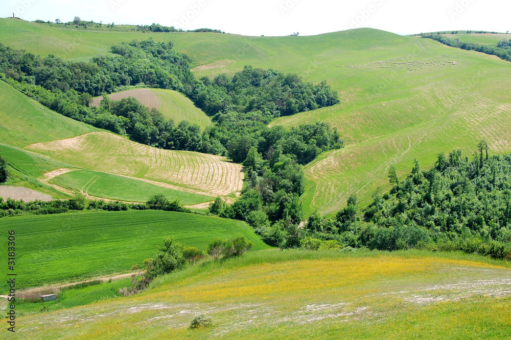 paesaggio di asciano nelle crete senesi