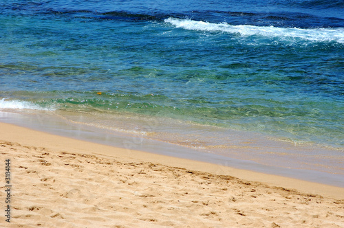 hawaii beach