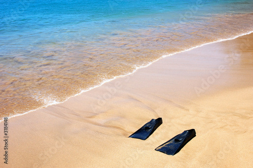 snorkeling fins on the beach