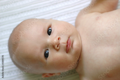 infant baby portrait