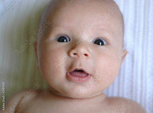 infant baby portrait