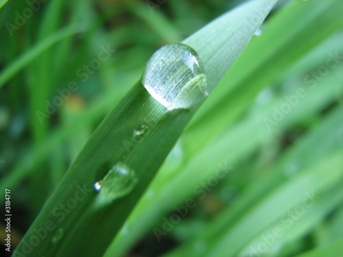 drop