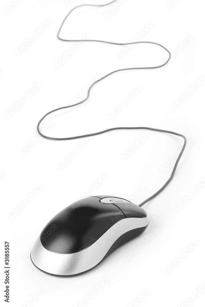 computer mouse