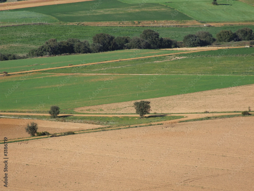 Obraz premium campo 2