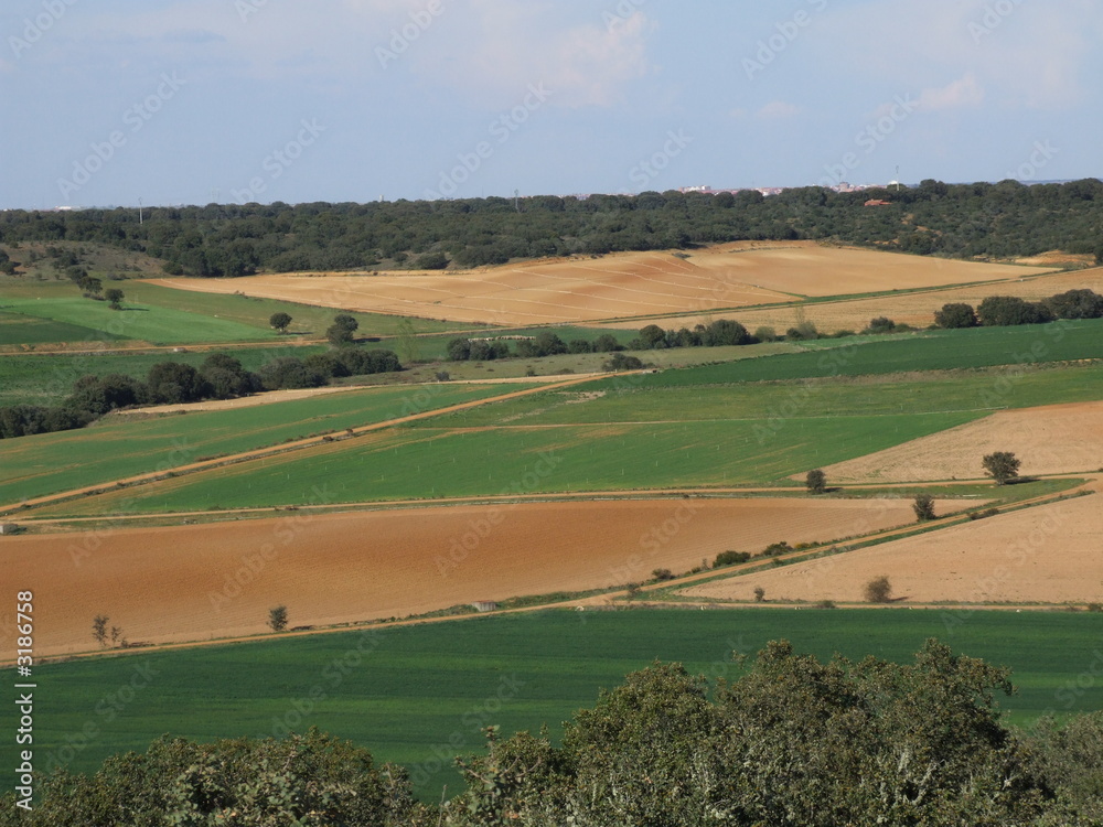 Obraz premium agricultura