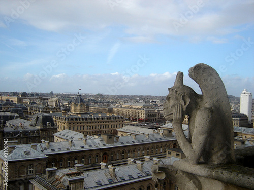 chimera and panorama of paris