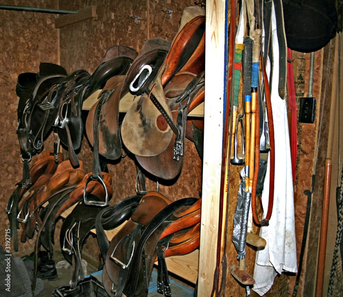 polo equipment