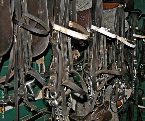 bridles and saddles