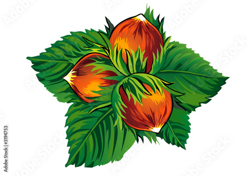 huzelnuts 2
