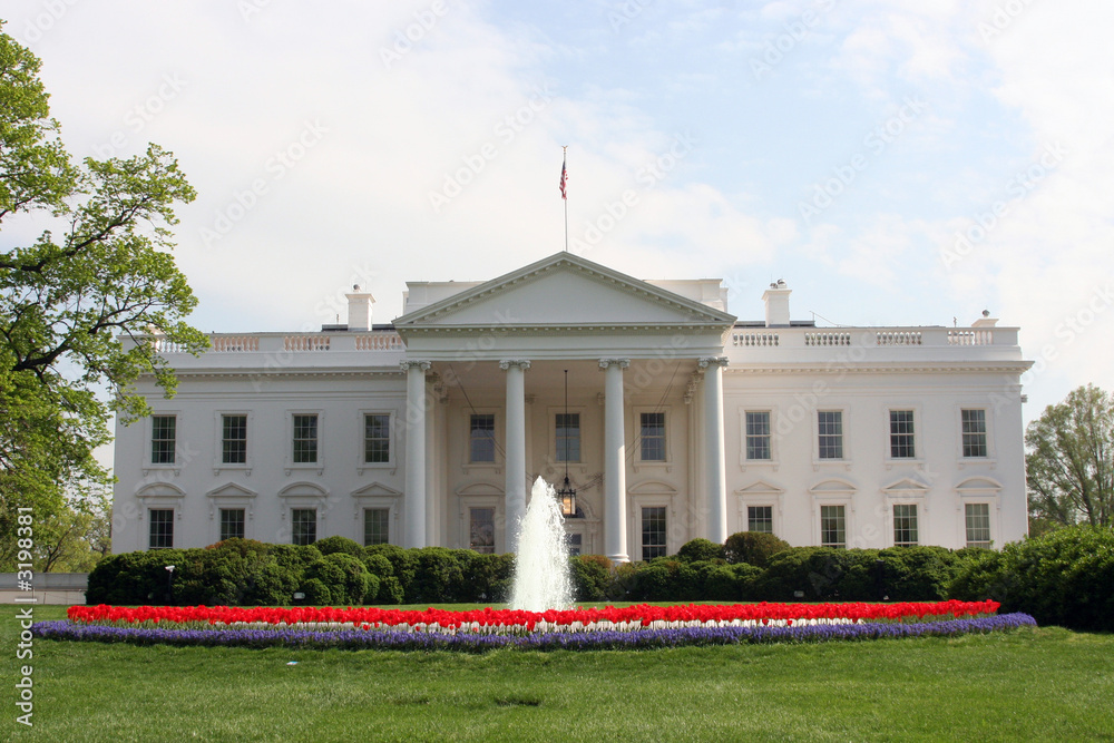 Naklejka premium north lawn