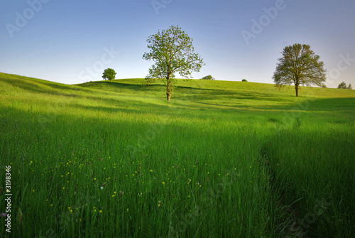 pré vert