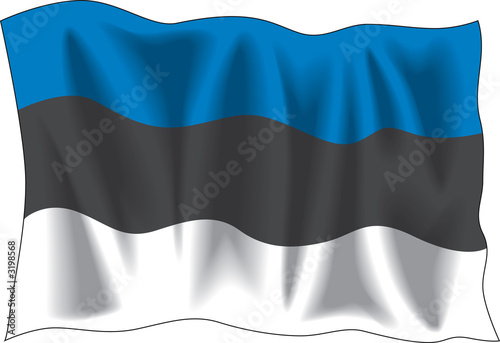 estonian flag
