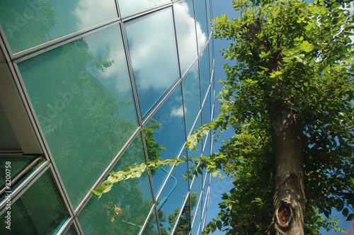 business and nature